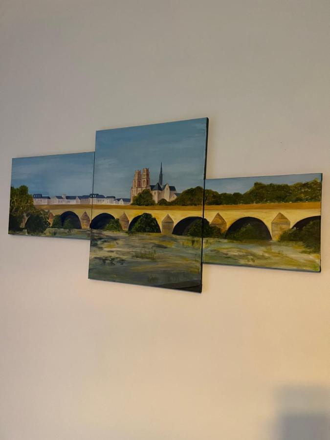 Cosy Loire, T2 Neuf, Front De Loire ,Vue Cathedrale,5Min A Pied Centre Ville Et Parking Prive Orlean Zewnętrze zdjęcie